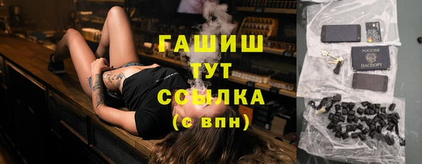 шишки Кодинск