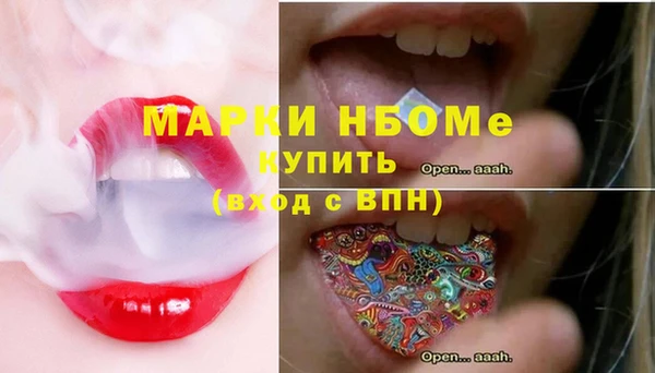 шишки Кодинск