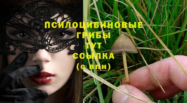 jwh Козельск
