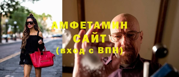 шишки Кодинск