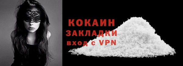 шишки Кодинск