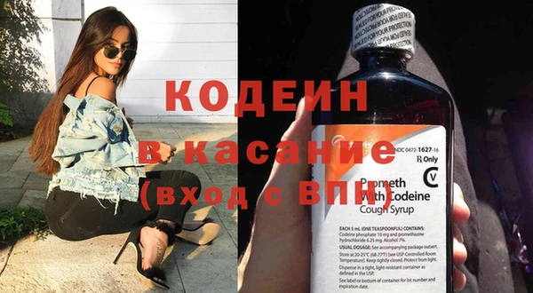 шишки Кодинск