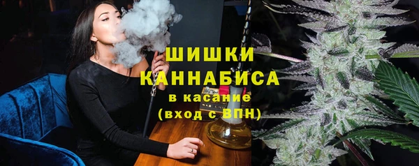 шишки Кодинск