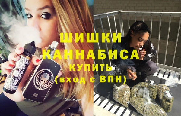 шишки Кодинск