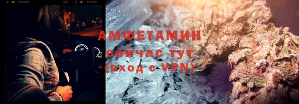 шишки Кодинск