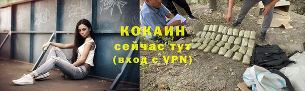 шишки Кодинск