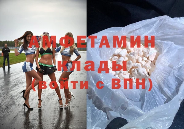 шишки Кодинск