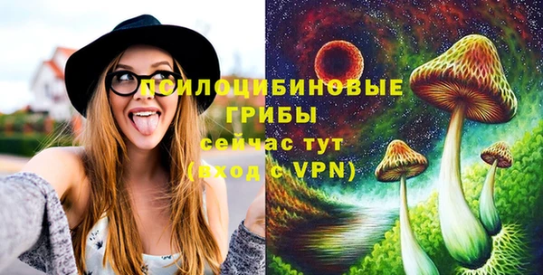 шишки Кодинск