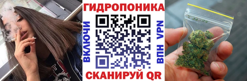 Конопля Bruce Banner  Купить где  Горбатов 